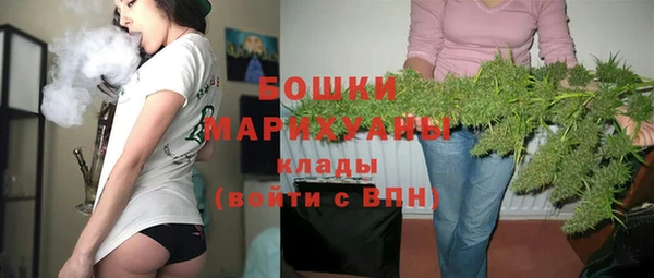 винт Верея