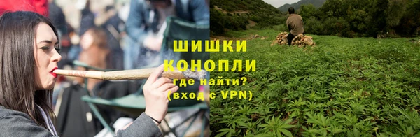 винт Верея