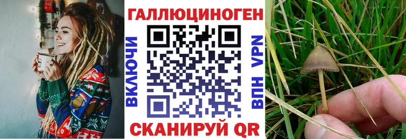 blacksprut tor  Петровск  Псилоцибиновые грибы ЛСД 